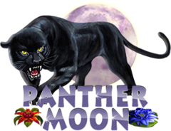 Panther Moon Ace333