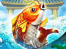 Carp Turn Dragon BBIN