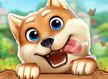 Lucky Dog BBIN