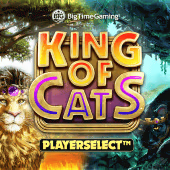 King of Cats Big Time Gaming