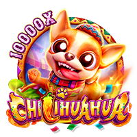CHILIHUAHUA Fa Chai