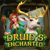 Druid's Enchanted Gameplay Interactive