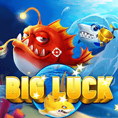 Big Luck Hc