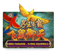 Bird Paradise - Flying Squirrels Joker