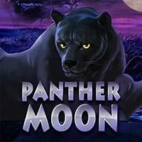 PANTHER MOON Mario Club