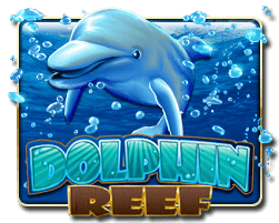 Dolphine Reef Mega888