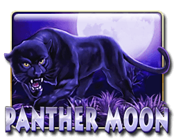 Panther Moon Mega888