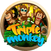 Triple Monkey Nextspin