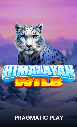 Himalayan Wild PXPlay
