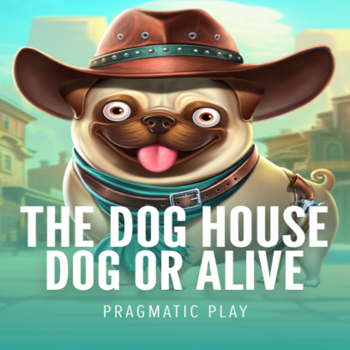 The Dog House Dog or Alive PXPlay
