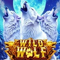 Wild Wolf Xtreme Spade Gaming