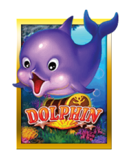 Dolphin Club Sun City