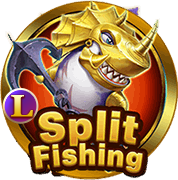 TP Split Fishing TP Fishing