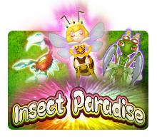 Insect Paradise V-Power